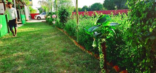 Dubbi House | AJ Vacational Villa Rajgarh, Alwar