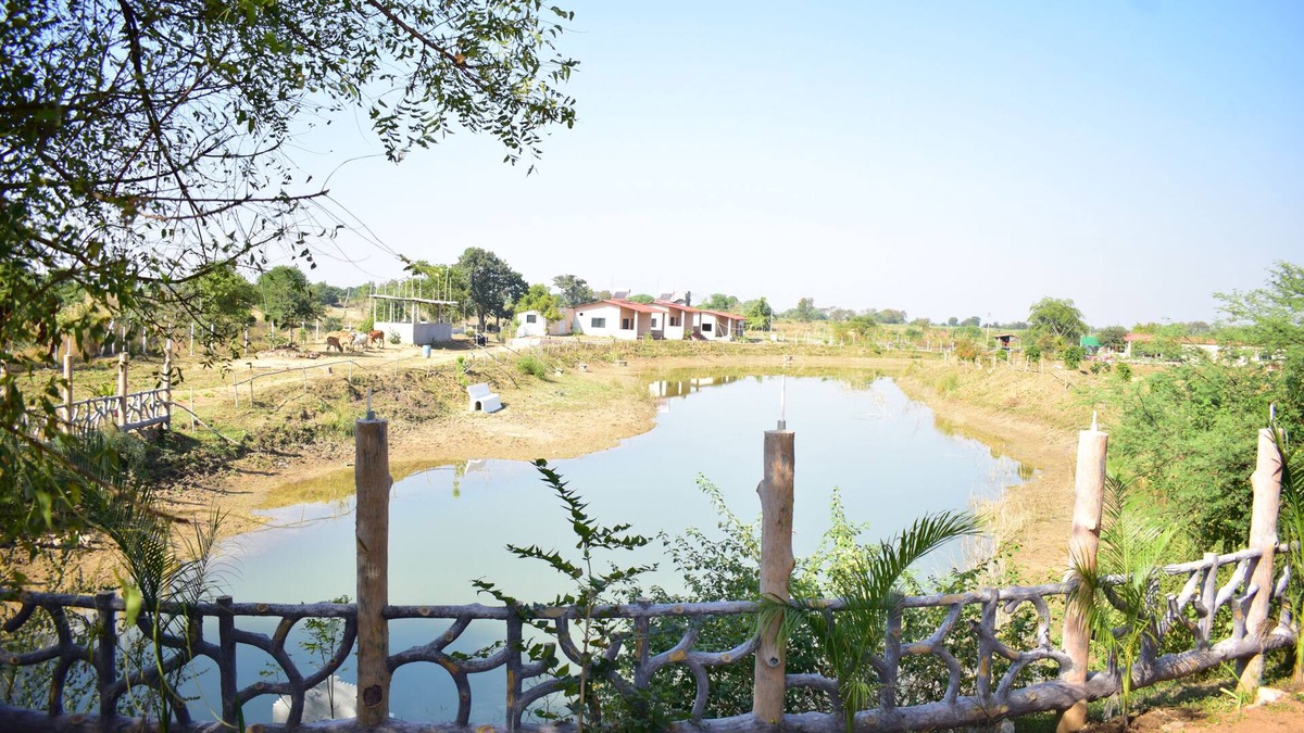 Chimur Other | Ajinkya Jungle lake farms resort