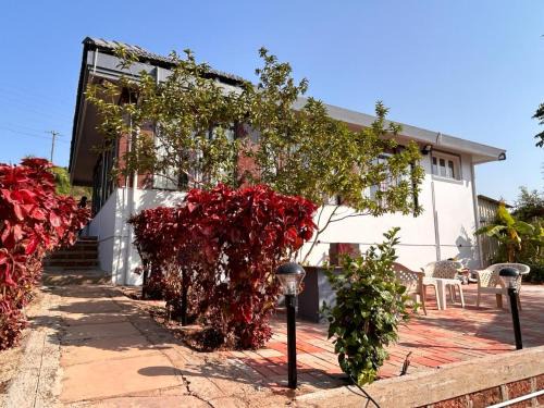 Amboli Villa | Akshay villa at Amboli Hill station