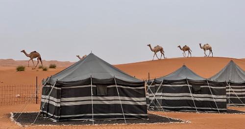 Bidiya Other | Al Badri Bedouin Camp