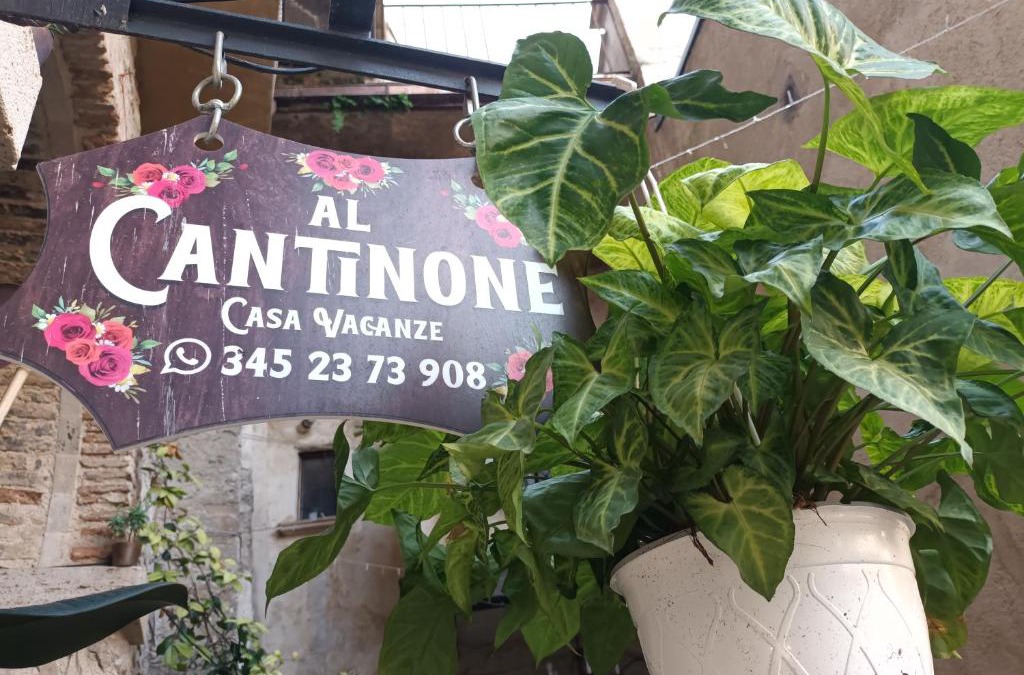 Toffia Apartment | AL CANTINONE