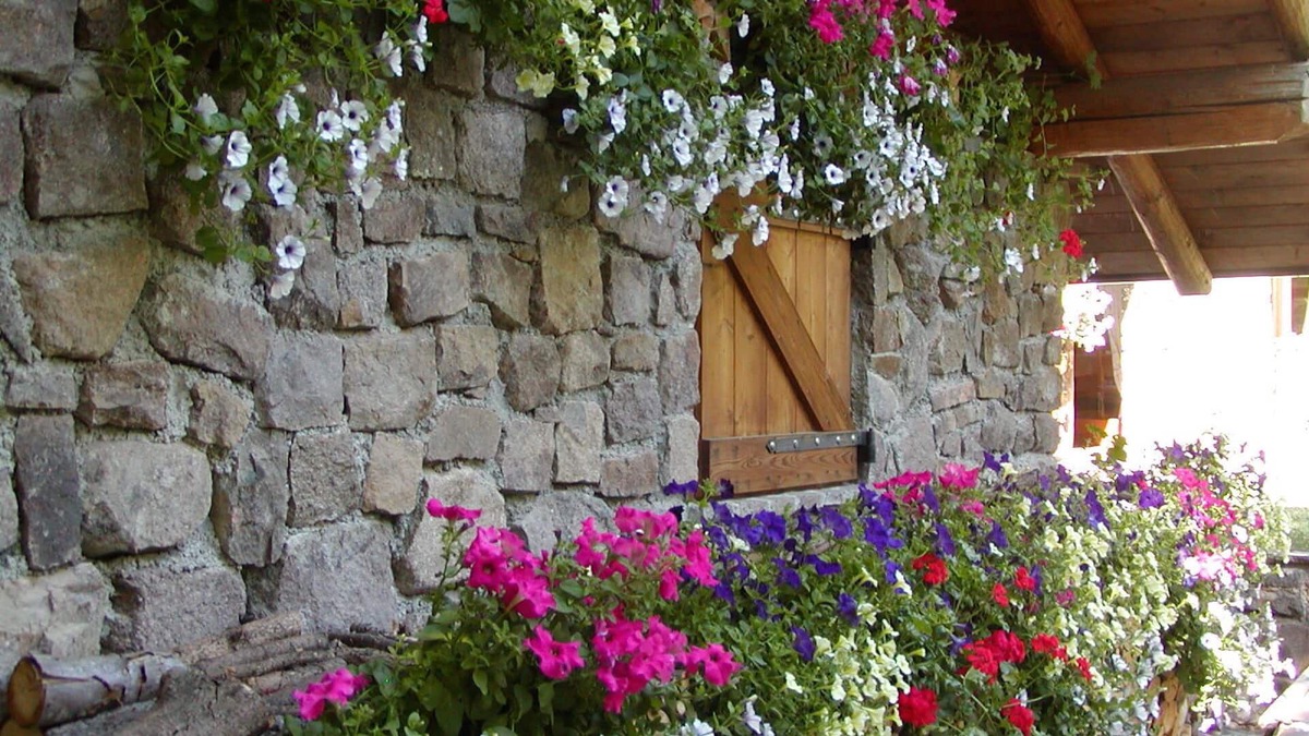 Grauno Ski Chalet | Al Folastro: chalet nestled in a fairytale forest
