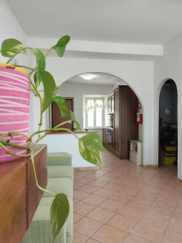 Gradoli Apartment | Al Poggetto