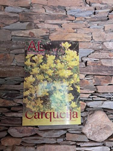 Benfeita House | AL Rossadas Carqueija