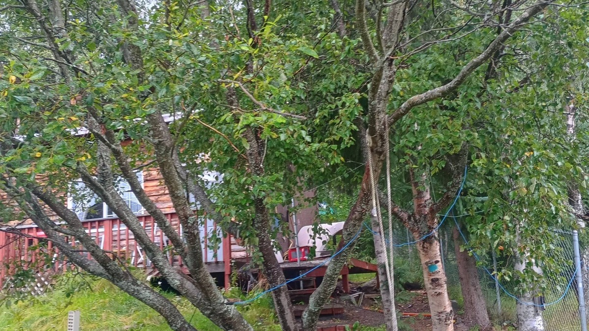 Bird Creek Cabin | Alaskan Cabin near Girdwood, Aleyska, and Anchorage