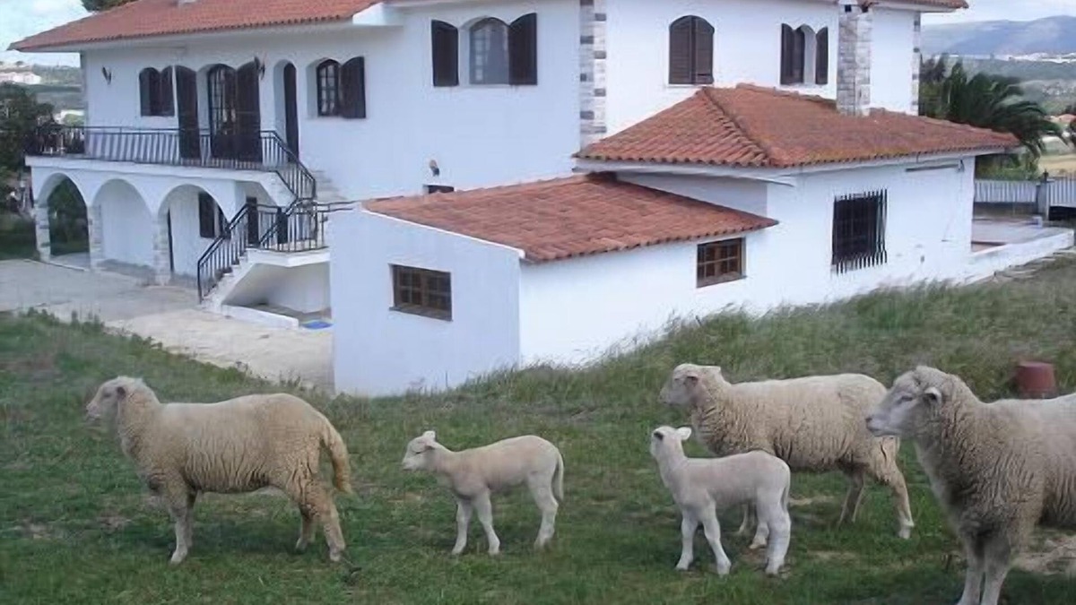 Alcobaca Apartment | Alcobaça near Nazaré and S Martinho do Porto Beaches - Apart3Bedrooms5/8 Pax-floor 0