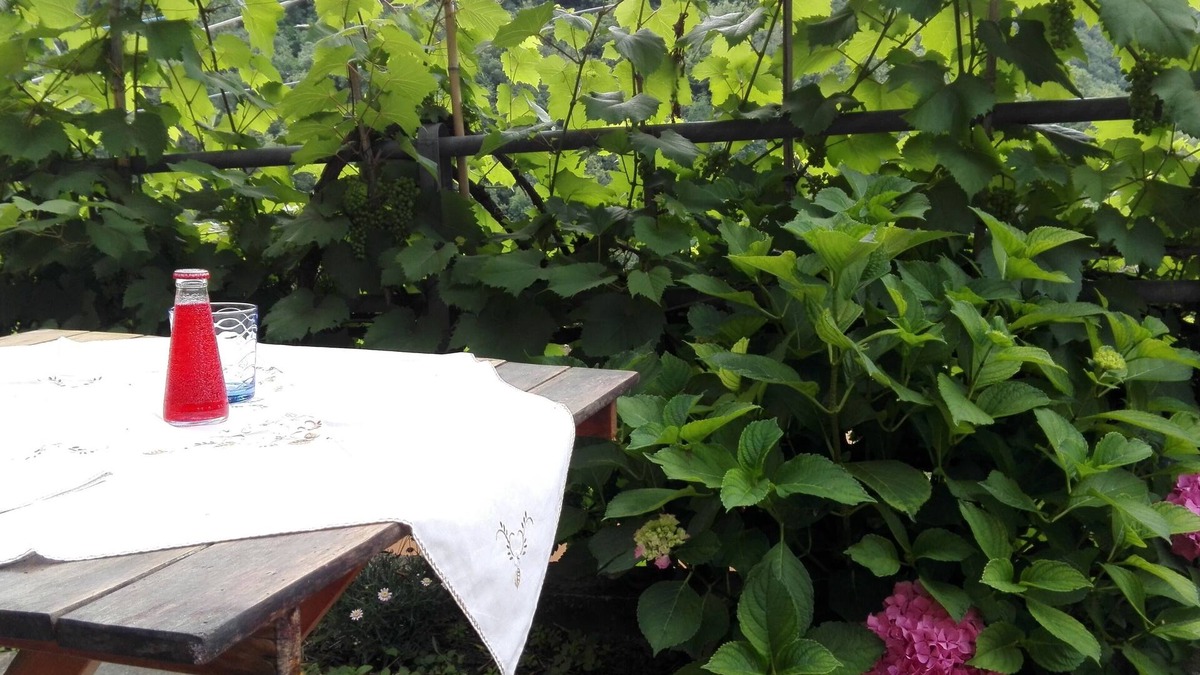 Avegno House | ALESSIA HOUSE IN THE GREEN WITH PARKING AND WIFI CITRA 010002-LT-0047