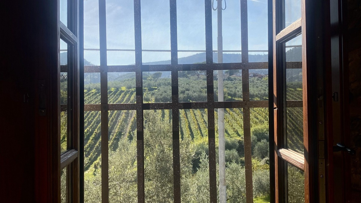 Santa Cristina a Mezzana Bed & Breakfast | Alessio room overlooking the vineyards of Tuscany