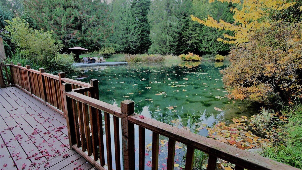 Ashford Hotel | Alexander's Lodge