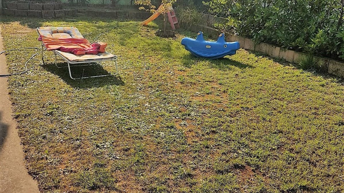 Lido di Pomposa House | Alfiere del Mare