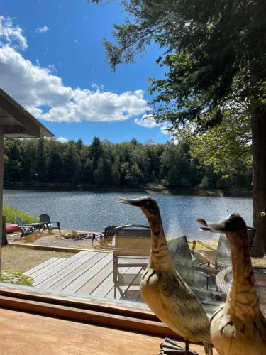 Algonquin Highlands House | Algonquin Waterfront and Winter Paradise With Sunsets