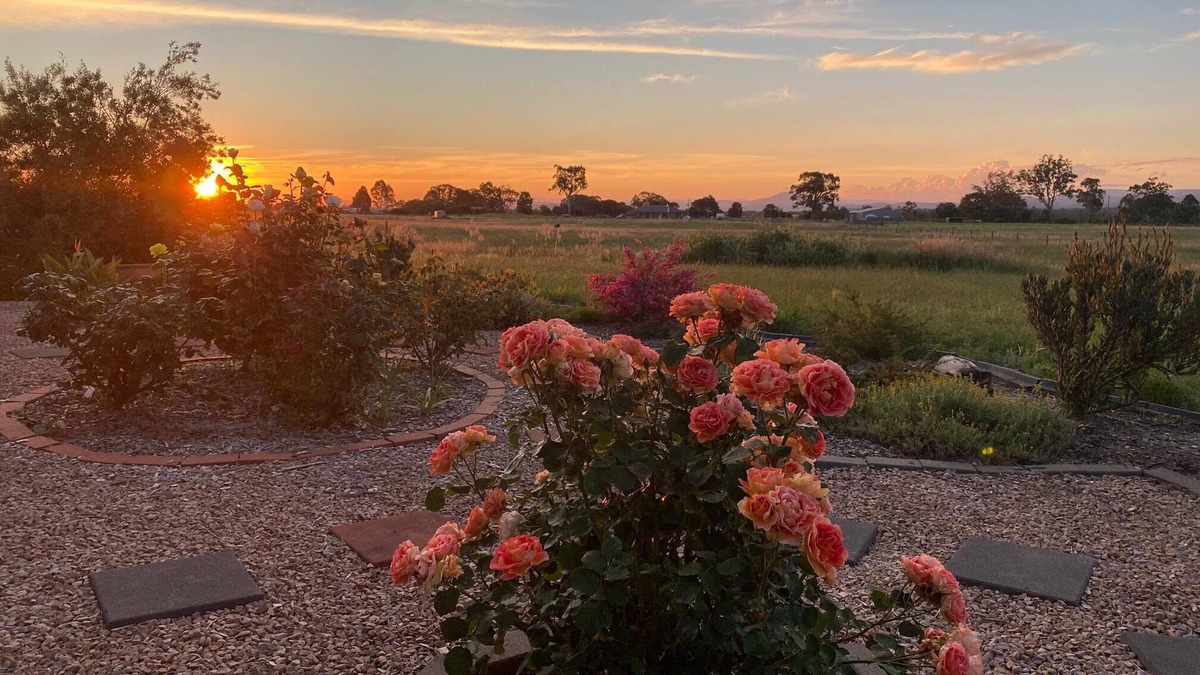 Briagolong House | Ali's Place - Art and Views Gippsland