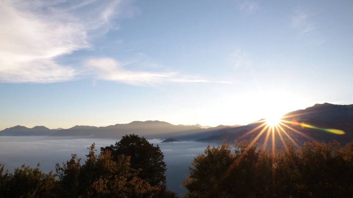 Zhuqi Hotel | Alishan B&B Yunmingi Aliscenery