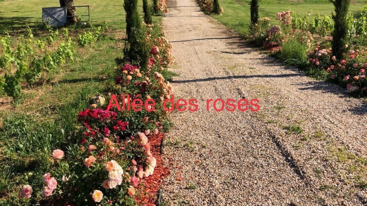 Saint-Philippe-dAiguille House | Allée des roses La Chapelle