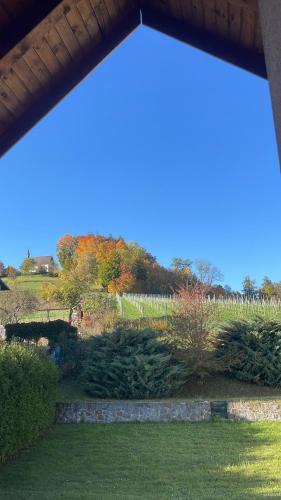 Bad Schallerbach Apartment | All Homes Apartments