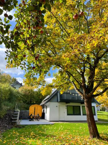 Seepark Kirchheim House | All inclusive Ferienhaus JULYN , Seepark