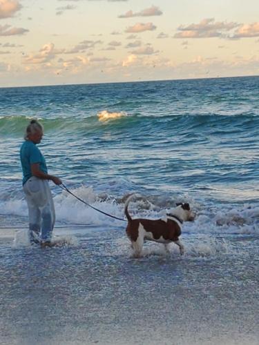 Beach Club Colony House | All Pets Welcome, Across From Beach, Tiki Hut