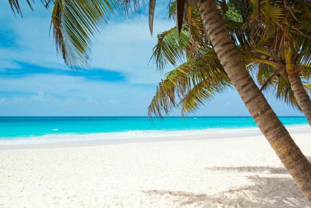 South Bradenton Apartment | All season paradise in Cortez