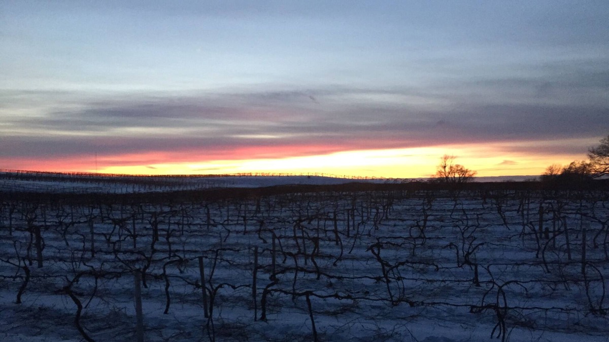 Lawton Cottage | All Sports Lake Private Home Wine Country Pure Michigan Close to Wineries Casino