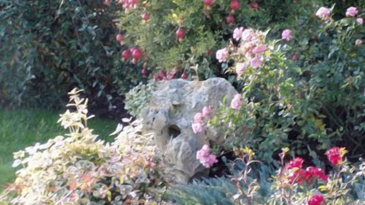 Castel Guelfo di Bologna Bed & Breakfast | Alla Corte del Picchio