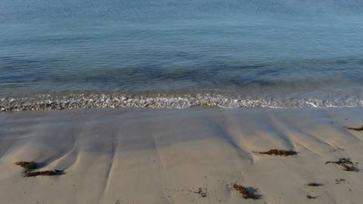 Allestree House | ALLESTREE ESCAPE - Ultimate Seaside Escape