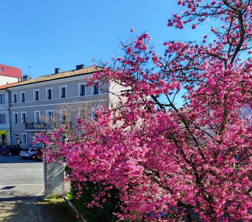 Ronchi dei Legionari House | Alloggi Tosca Airport Lodges