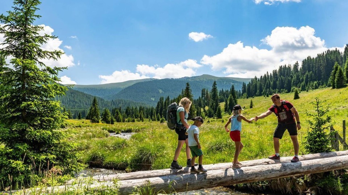 Metnitz House | Almhaus Völkl - Ferienwohnung Elisabeth