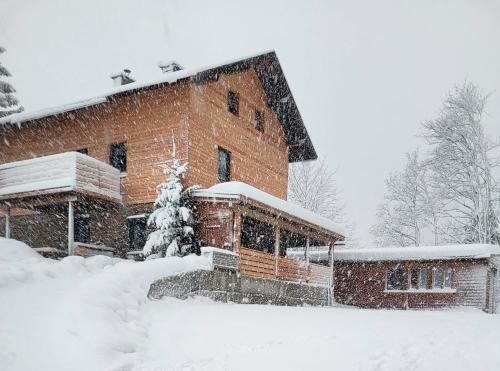 Bockstein Apartment | Almliesl GAST-719