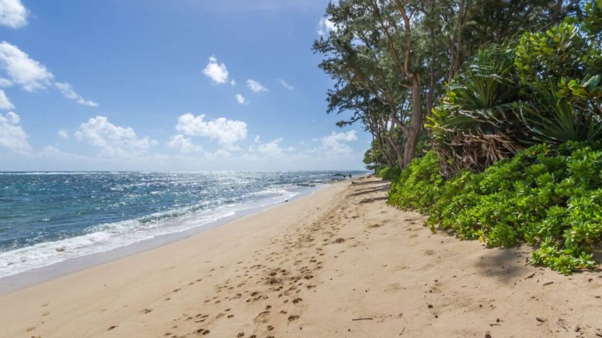 Hauula Apartment | Aloha Studio – AC, Near Beach, Near PCC