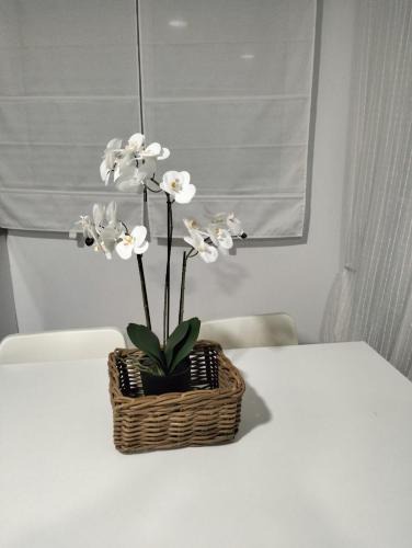 Tabernas House | Alojamiento las Dunas alto