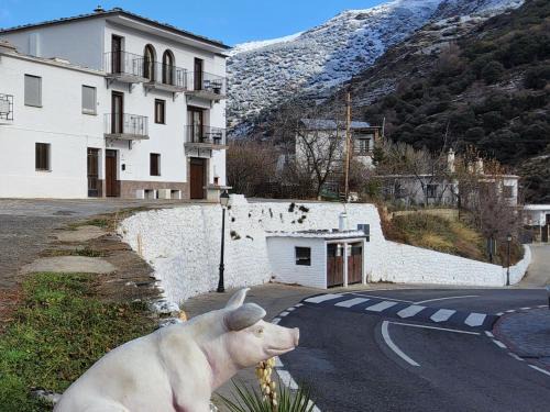 Trevelez House | Alojamiento rural Casa Clara la Pescaora