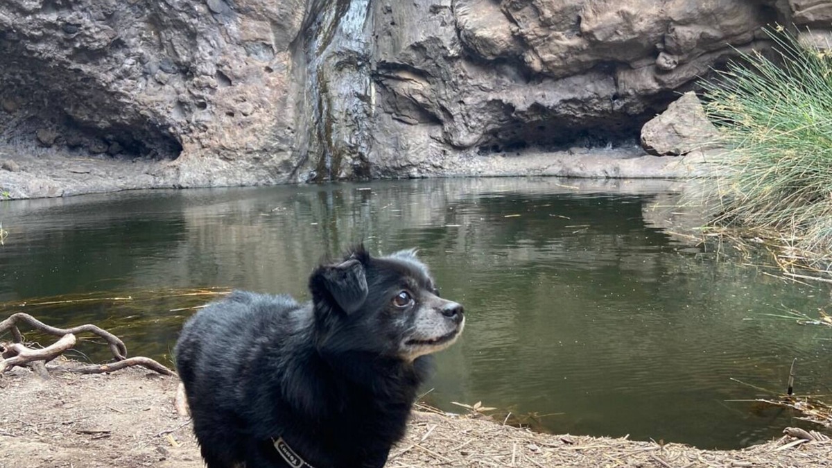 Agaete Bed & Breakfast | Alojamientos Charco Azul