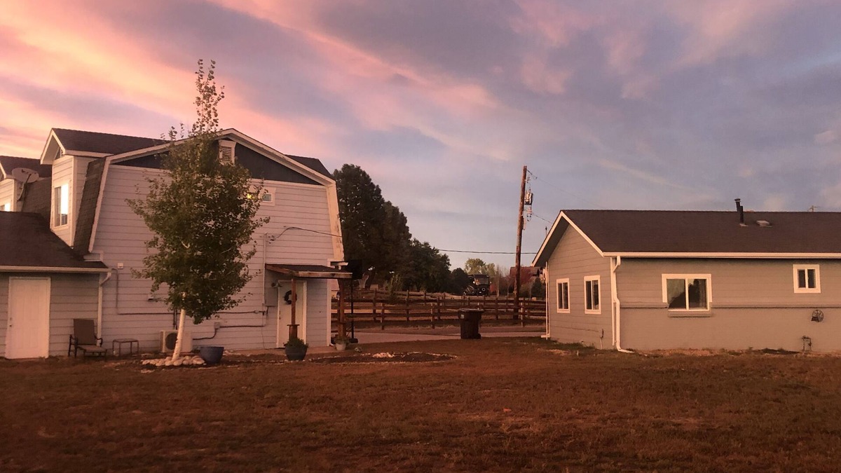 Broomfield Apartment | Alpaca, emu and chicken farm