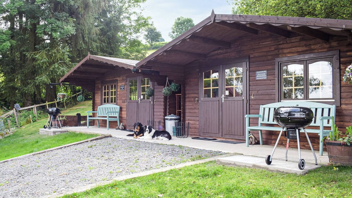 Newtown Cottage | Alpaca Hideaway - UK35188