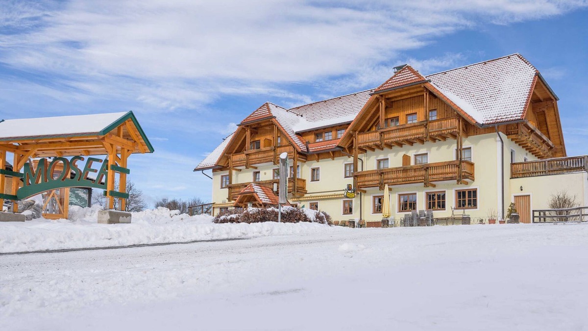 Karchau Cabin | Alpengasthof Moser - double room
