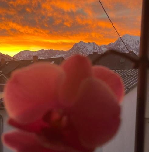 Windischgarsten Apartment | Alpenliebe