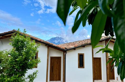 Berat House | Alpeta Agrotourism & Winery - Roshnik , Berat