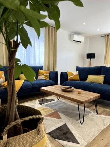 Colmar Apartment | Alsace Colmar Appartement climatisée garage, parking et terrasse