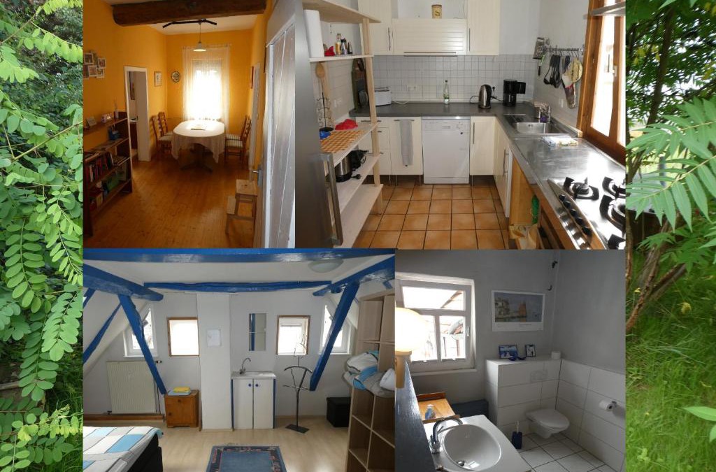 Krofdorf-Gleiberg Apartment | Am Backhaus