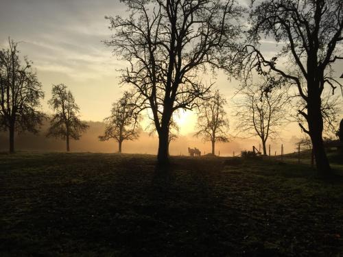 Wermelskirchen Apartment | Am Grünenplatz 65