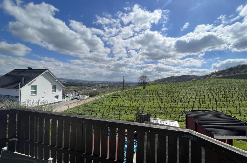 Mainz-Bingen Apartment | Am Keßlersberg