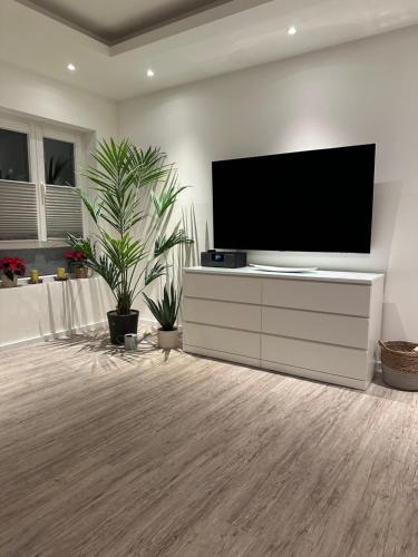 Flensburg Apartment | Am kleinen Mühlenteich - Zentrale ruhige Lage mit Parkplatz und Fahrrädern