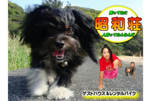 Koniya House | Amami Guest House showa-so