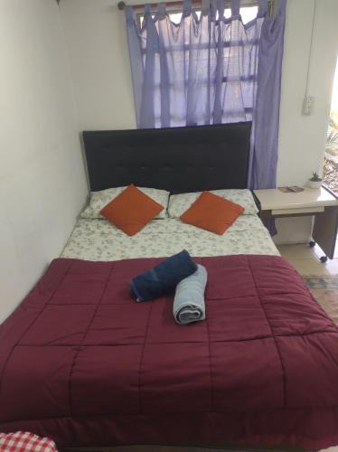 Almirante Brown House | Amanecer Campestre bajo el Ceibo