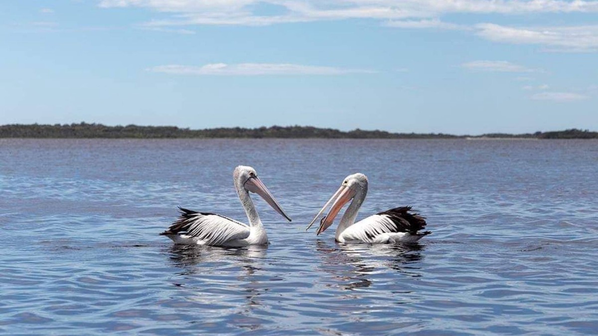 Ansons Bay House | Amazing Ansons Bay remote paradise for the family in the Bay of Fires area.