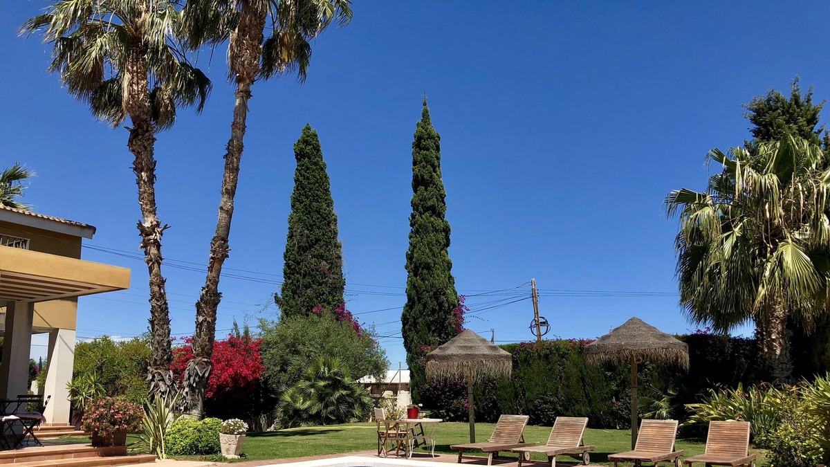 San Vicente del Raspeig Ski Chalet | AMAZING CHALET IN ALICANTE