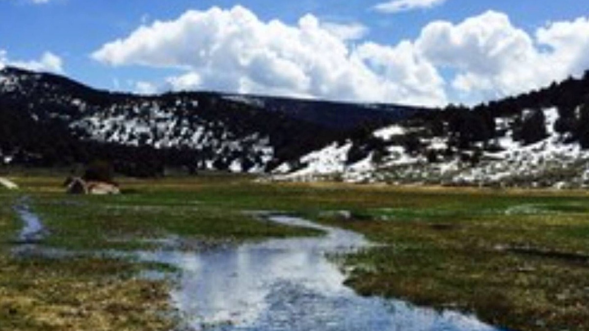 Sevier Cabin | Amazing Grass Creek