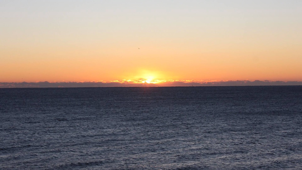 Wilmington Beach Condo | Amazing Ocean View Condo - Updated furnishings throughout!