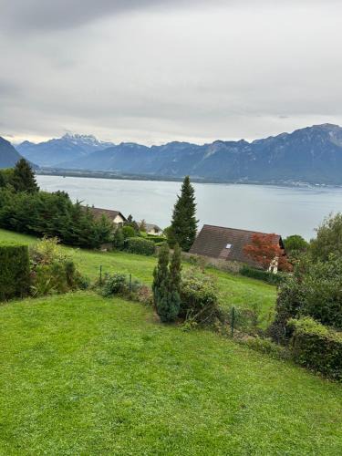 Chernex Apartment | amazing view apartment