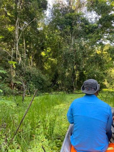 Saquena Hotel | Amazon eagle Explore